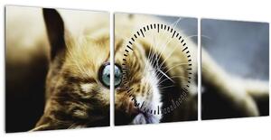 Tablou cu pisica (cu ceas) (90x30 cm)