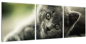 Tablou cu pisicuța (cu ceas) (90x30 cm)