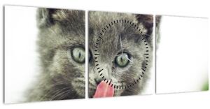 Tablou cu pisicuța lingându-se (cu ceas) (90x30 cm)