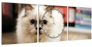 Tablou cu pisica albăr (cu ceas) (90x30 cm)