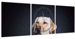Tablou cu labrador (cu ceas) (90x30 cm)
