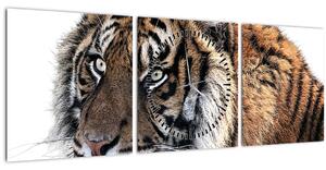 Tablou cu tigrul (cu ceas) (90x30 cm)