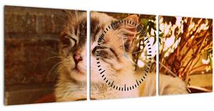Tablou cu pisica în ghiveci (cu ceas) (90x30 cm)