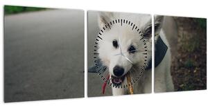 Tablou cu câinele alb (cu ceas) (90x30 cm)