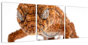 Tablou cu șopârlă (cu ceas) (90x30 cm)