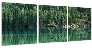 Tablou - Coniferi lângă lac (cu ceas) (90x30 cm)