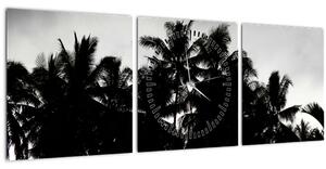 Tablou alb negru - palmieri (cu ceas) (90x30 cm)