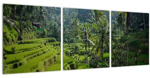 Tablou cu terasele cu orez Tegalalang, Bali (cu ceas) (90x30 cm)