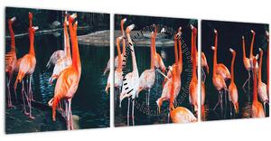 Tablou - turmă de flamingo (cu ceas) (90x30 cm)