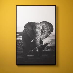 Tablou Elephant 80x120 cm