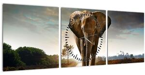 Tablou cu elefant (cu ceas) (90x30 cm)