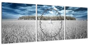 Tablou cu câmp (cu ceas) (90x30 cm)
