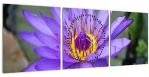 Tablou - Floare violet (cu ceas) (90x30 cm)