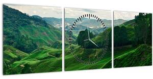 Tablou Plantații de ceai - Malaezia (cu ceas) (90x30 cm)