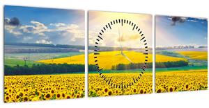 Tablou - Câmp cu floarea soarelui (cu ceas) (90x30 cm)