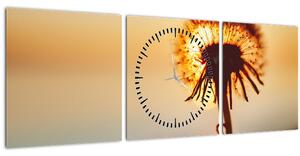 Tablou - Păpădie la apus de soare (cu ceas) (90x30 cm)