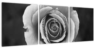 Tablou - Trandafir (cu ceas) (90x30 cm)