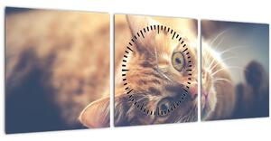 Tablou - Pisici pe podea (cu ceas) (90x30 cm)