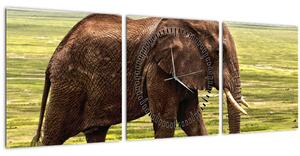 Tablou - Elefantul (cu ceas) (90x30 cm)