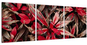 Tablou - Petale roșii (cu ceas) (90x30 cm)