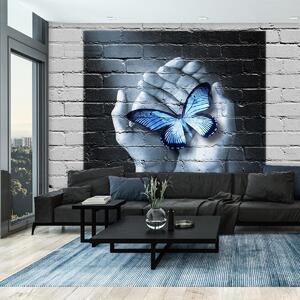 Fototapet - Fluture pe perete (147x102 cm)