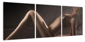 Tablou modern