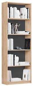 Biblioteca Adore Modern, 5 rafturi, 64x182x26 cm