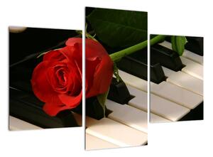 Tablou - trandafir pe pian (90x60cm)