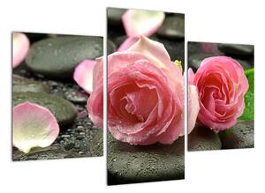 Tablou - trandafiri (90x60cm)