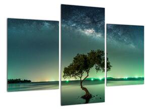 Tablou modern (90x60cm)