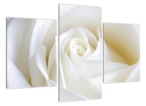 Tablou modern (90x60cm)