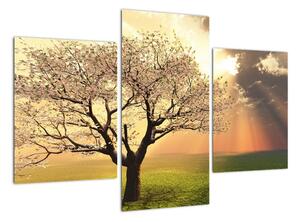 Tablou modern (90x60cm)
