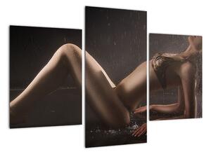Tablou modern (90x60cm)
