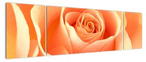 Tablou - trandafiri portocalii (170x50cm)