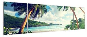 Tablou modern - palmieri pe plajă (170x50cm)