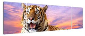 Tablou - tigru mincinos (170x50cm)