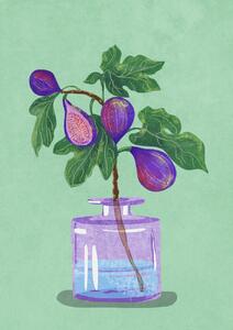 Ilustrație Figs Branch In Vase, Raissa Oltmanns, (30 x 40 cm)