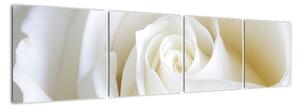 Tablou - trandafiri albi (160x40cm)