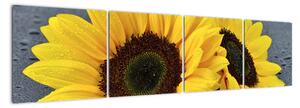 Tablou - floarea-soarelui (160x40cm)