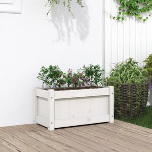 Jardinieră de grădină, alb, 60x31x31 cm, lemn masiv de pin