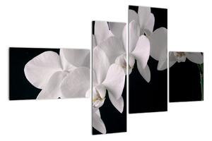 Tablou - orhidee albă (110x70cm)