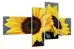 Tablou - floarea-soarelui (110x70cm)