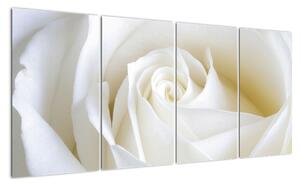 Tablou - trandafiri albi (160x80cm)