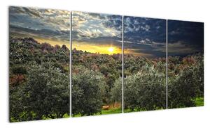 Tablou - livadă verde (160x80cm)