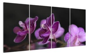 Tablou - flori (160x80cm)