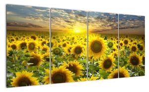 Tablouri - floarea-soarelui (160x80cm)