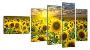 Tablouri - floarea-soarelui (110x60cm)