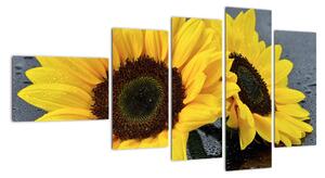 Tablou - floarea-soarelui (110x60cm)