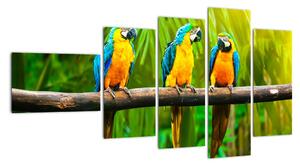 Tablou modern - papagali (110x60cm)