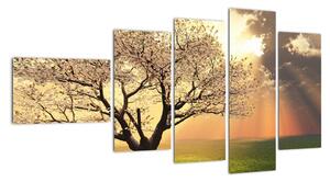 Tablou modern (110x60cm)
